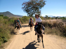 Mexico-Oaxaca-Oaxaca Explorer Ride